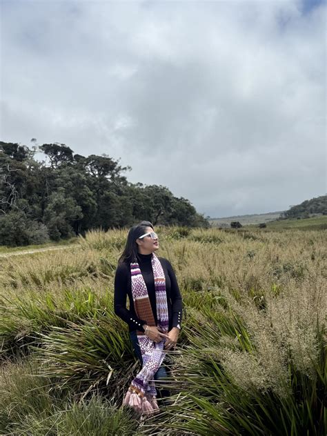 Image result for Alien Dreams