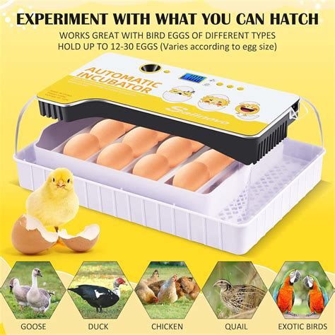 Buy Sailnovo Eggs Incubators for Hatching Eggs with LED Light, Fully ...