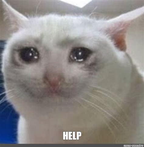 Image result for Help Us Out Meme