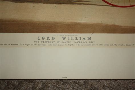 Vintage Lord William Horse Painting by WJ Shayer Print Framed in Metal ...