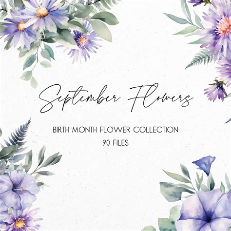 September Birthday Flower