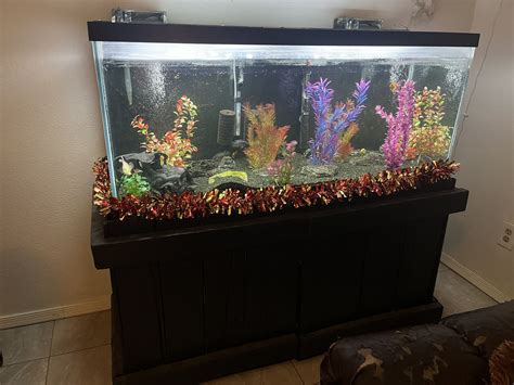 60 Gallon Aquarium for Sale in Phoenix, AZ - OfferUp