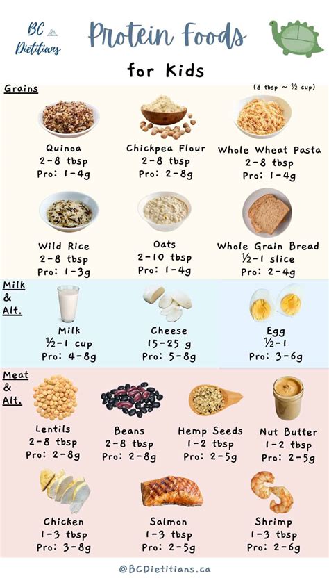 The Truth About Protein Intake For Children | BC Dietitians