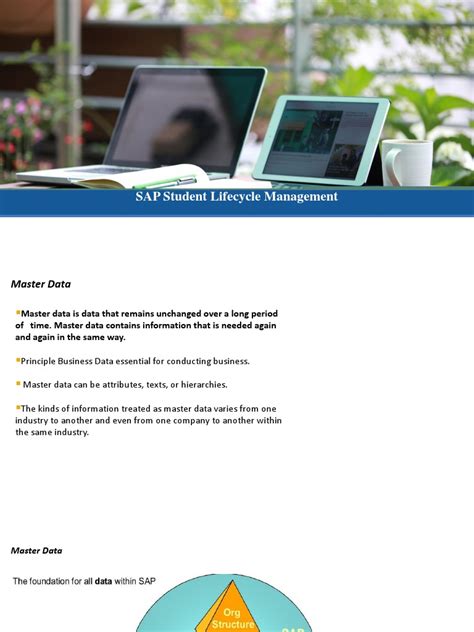 Image result for Master Data SAP Presentation