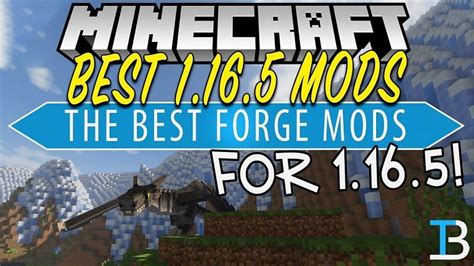Image result for Mods for 1.16.5 Java