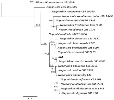 Effect of Volatile Compounds Emitted by an Endophytic Yeast Isolated from the Endemic Plant ...
