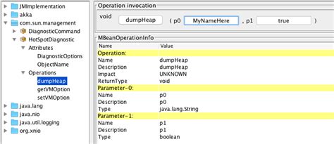 Java Hprof 的图像结果