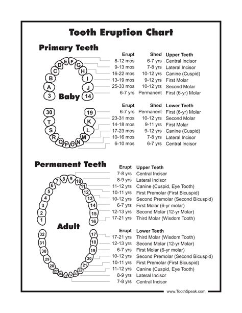Childrens Teeth Chart Letters - Educational Chart Resources