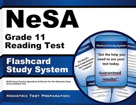 Nesa Grade 11 Reading Test Study System: Nesa Exam Practice Questions ...