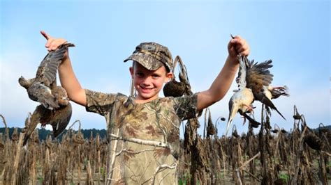 Get the early bird? North Carolina hunters prepared for dove season ...