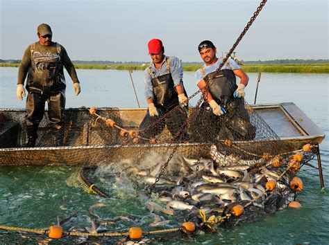 Aquaculture - National Geographic