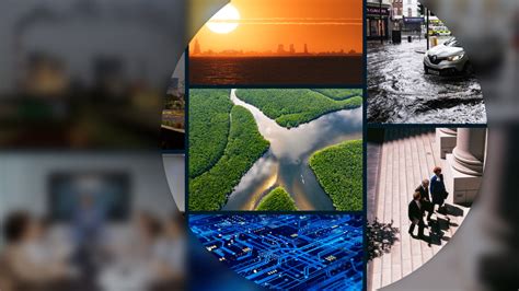 Image result for MSCI Data Collection Process