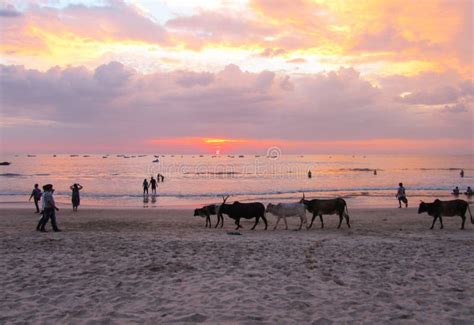 Goa Beach People 的图像结果