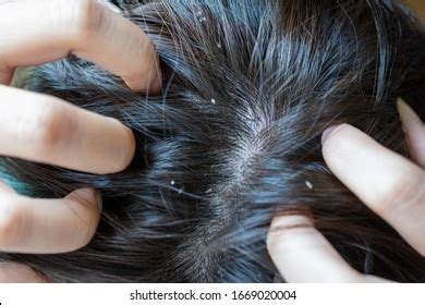 Finger Sign Language 的图像结果