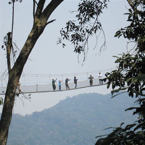 FROM KIGALI: 1 DAY NYUNGWE CANOPY WALK & WATERFALL ADVENTURE (2025) All ...