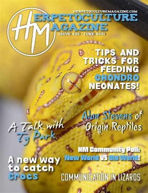 Image result for Green Tree Python Eating