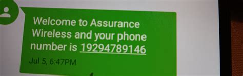 Assurance Wireless Com 的图像结果