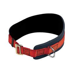 Work Positioning Belt at Best Price in India