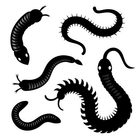 Underground engineers the role of worms | Premium AI-generated vector