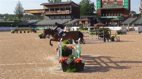Image result for Tryon Equestrian Center Mill Spring NC