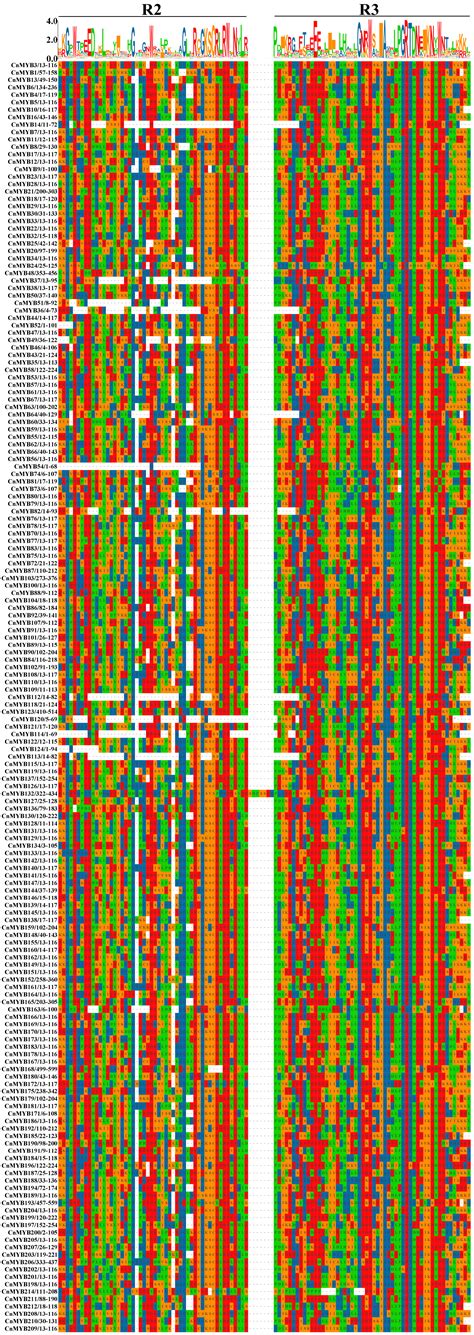 Genome-Wide Identification and Expression Analysis of MYB Transcription ...