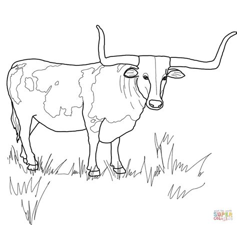 Texas Longhorn Steer coloring page | Free Printable Coloring Pages