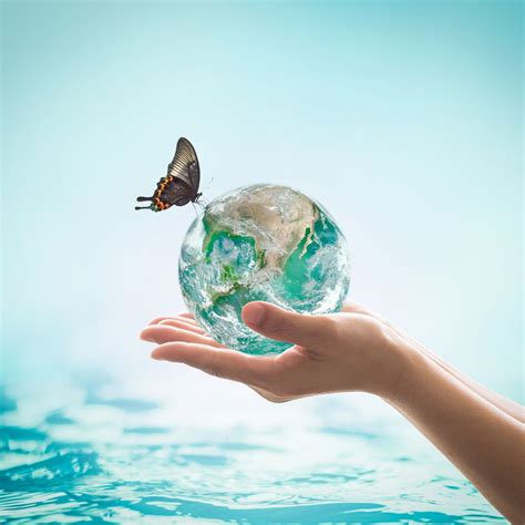 Fun Ways to Celebrate World Ocean Day in the Classroom