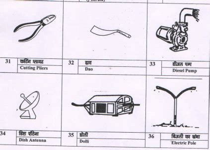 Carrom board, nail cutter, batsman: India's hilariously mundane ...