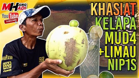 manfaat air kelapa untuk asam lambung