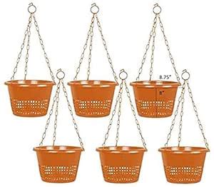 Plastic Orchid Hanging Tanusai Traders Pots (Brown) - Set of 6 : Amazon ...