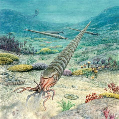 Ordovician Era