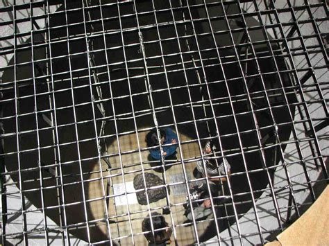 What Does A Prison Hole Look Like at Catherine Dorsey blog