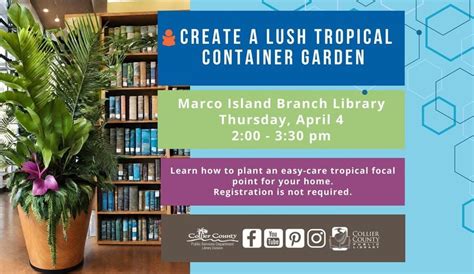 Create a Lush Tropical Container Garden at Marco Island Branch Library ...
