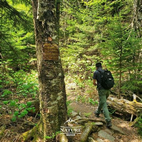 How to Hike The Devil's Path Trail in One Day
