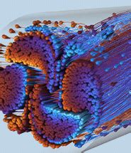 Image result for Mixture Model COMSOL