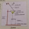 With the help of diagram explain the filtration process set up in ...