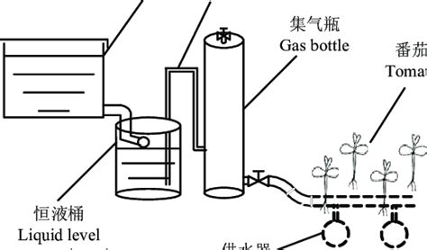 Image result for Fertigation System Diagram