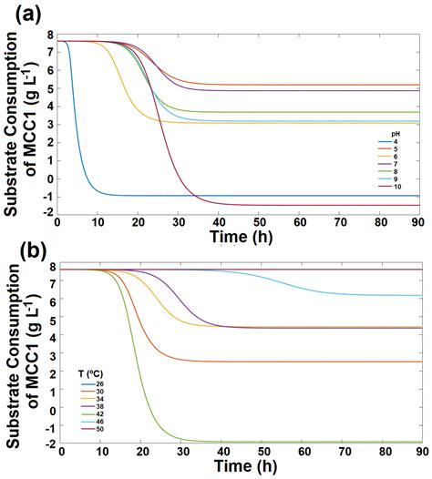 Simulation of Biofouling Caused by Bacillus halotolerans MCC1 on FeNP ...