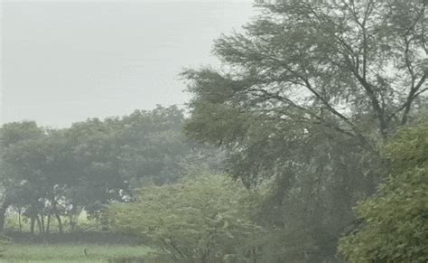 Rajasthan Weather: राजस्थान में मावठ से खिले किसानों के चेहरे तो लोगों ...