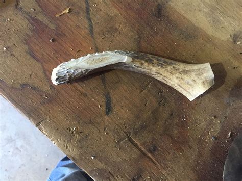How to Make a Knife Handle Out of Deer Antler - Old Man Stino | Knife ...