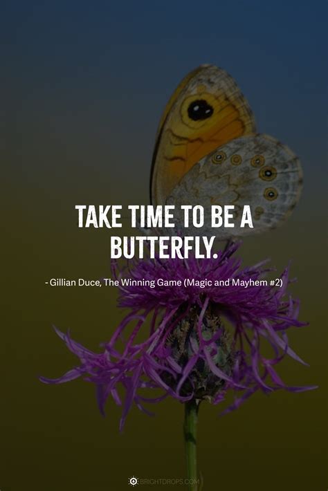 149 Beautiful Butterfly Quotes - Bright Drops