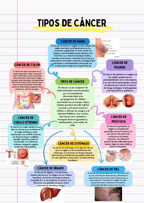 Tipos de Cáncer: Mapa Conceptual Creativo A4 Colorido - Studocu