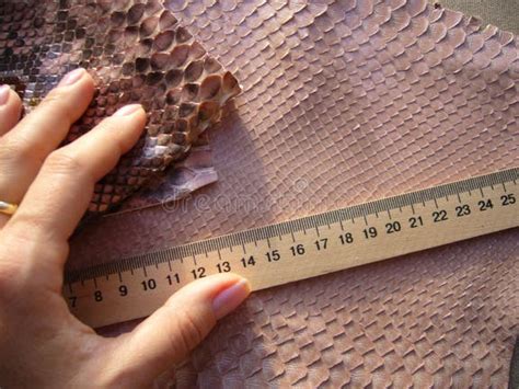 Image result for Pink Python Skin