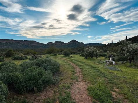 NEW Peralta Regional Park: Complete Hiking & Camping Guide - Karabou ...