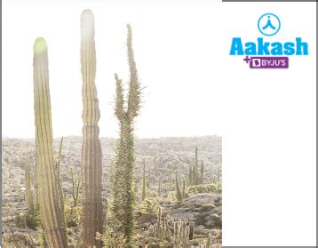 Biotic and Abiotic Factors in Biology: Definition, Types and Importance ...