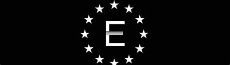 Image result for Fallout Enclave Remnants