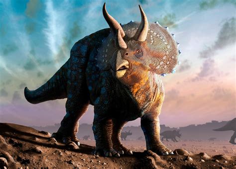 Real Triceratops Dinosaur