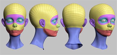 Image result for Face Mesh Map