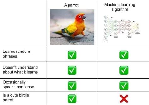 Deep Learning Algorithms Joke 的图像结果