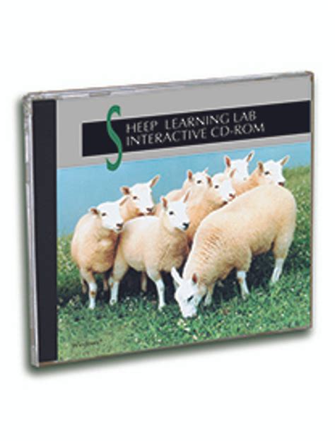 Image result for Sheep Science Lab
